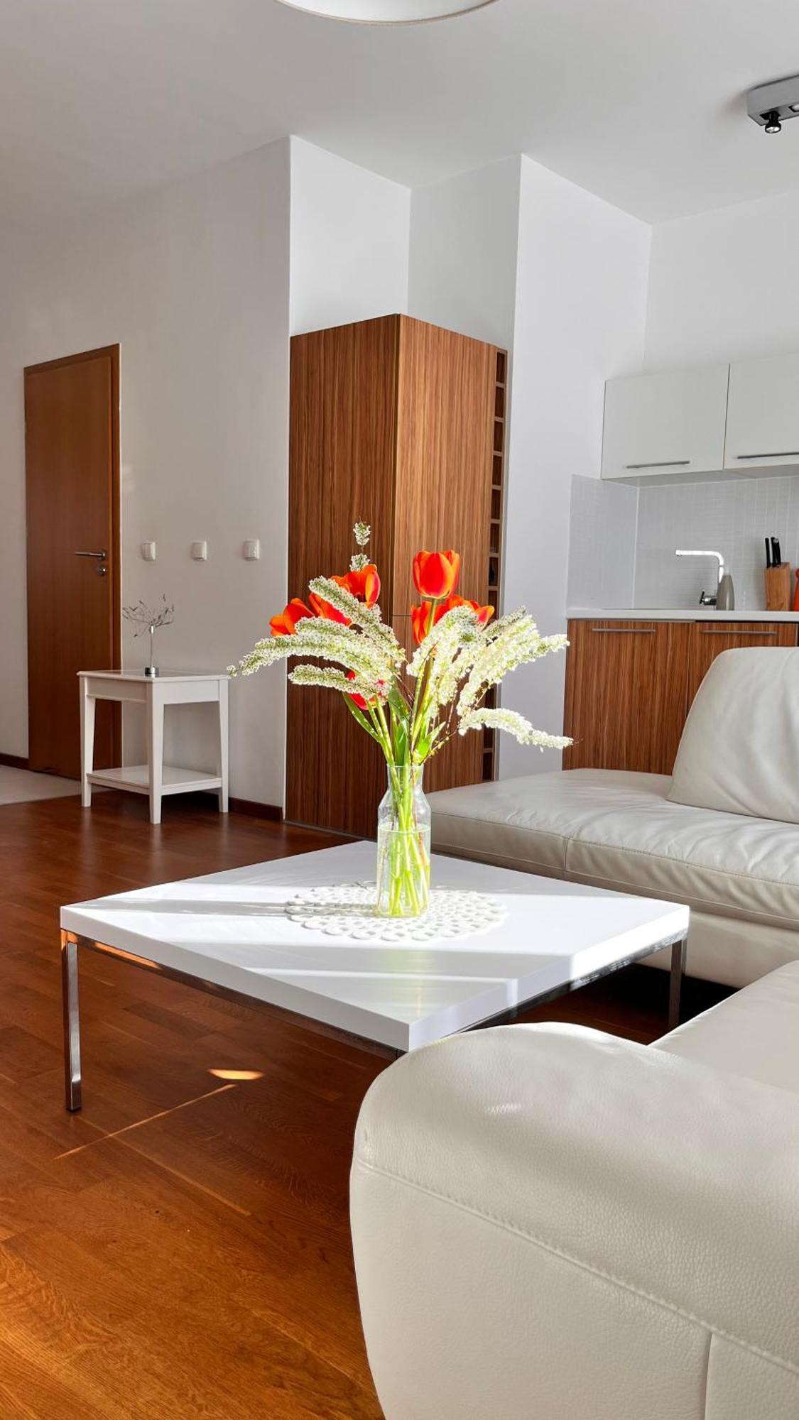 Mercury Two-Bedroom Apartment & Parking Świnoujście Esterno foto